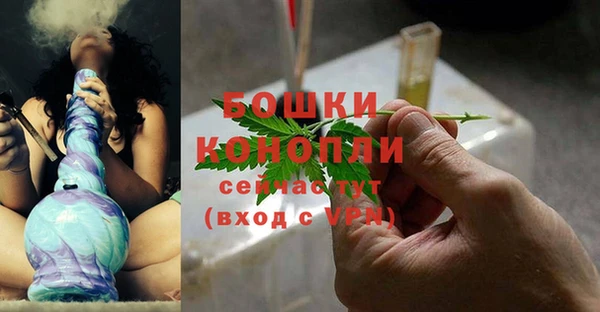 молекула духа Богородск