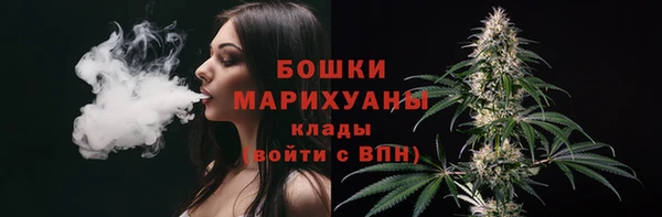 a pvp Белокуриха