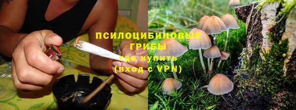 тгк Беломорск
