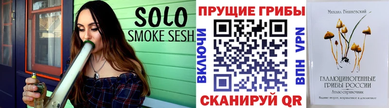 продажа наркотиков  Балей  Псилоцибиновые грибы MAGIC MUSHROOMS 