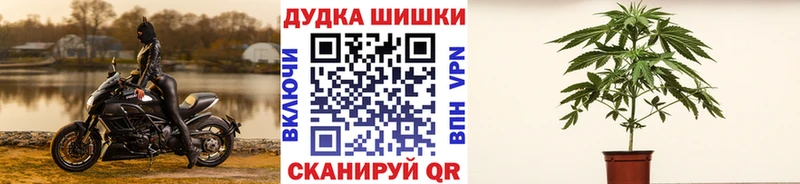 Бошки Шишки Ganja  Балей 